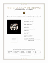 Jewelry Scan Report
