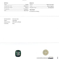 Jewelry Scan Report