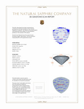Jewelry 3 D Scan Report