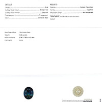 Jewelry Scan Report
