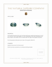 Jewelry Appraisal