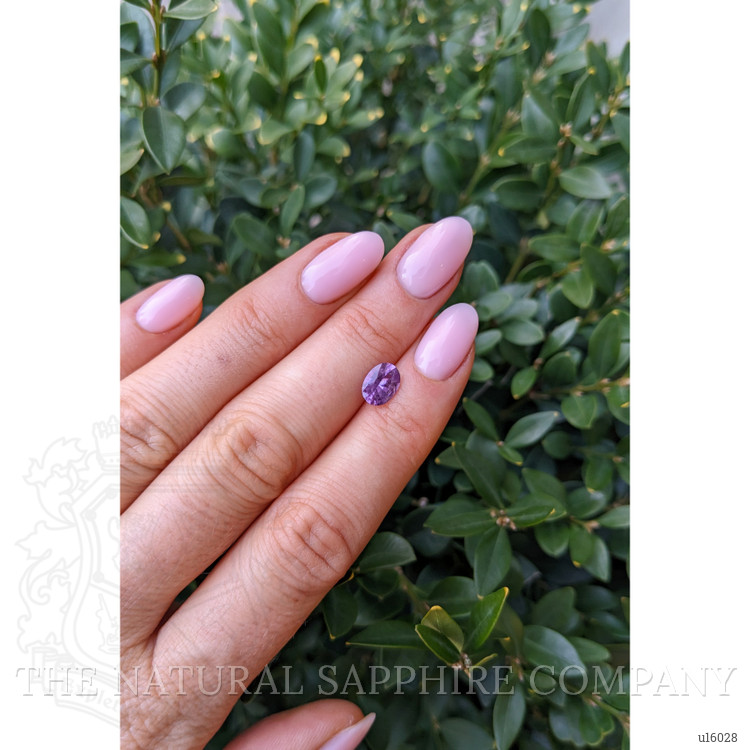 1.31 Ct. Purple Sapphire from Ceylon (Sri Lanka)