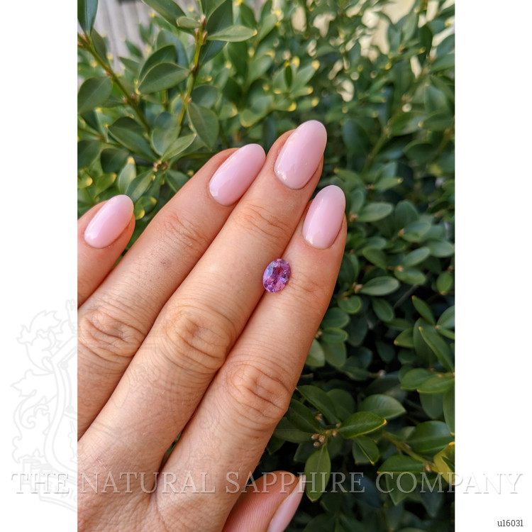 1.16 Ct. Purplish Pink Sapphire from Ceylon (Sri Lanka)