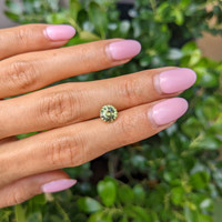 2.17 Ct. Greenish Yellow Sapphire from Madagascar Life Style