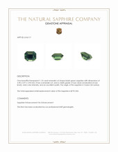 1.10 Ct. Bluish Green Sapphire from Ceylon (Sri Lanka) Appraisal