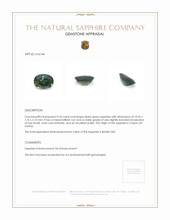 Jewelry Appraisal