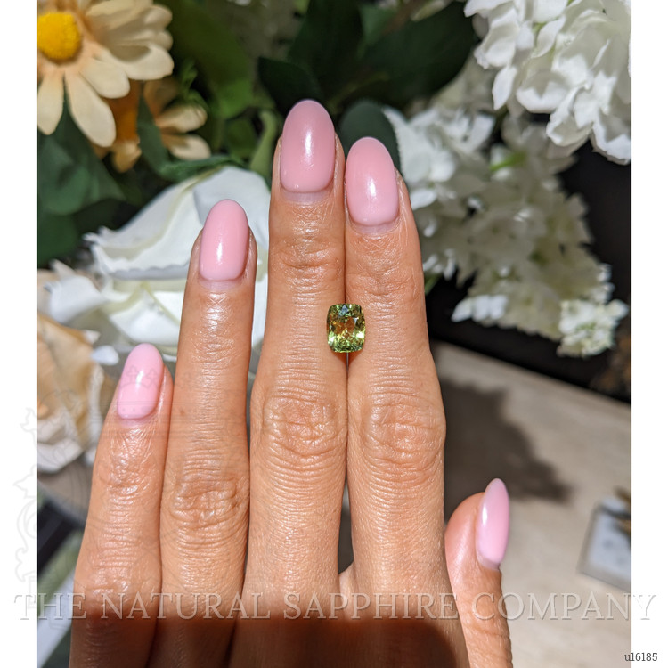 2.23 Ct. Yellowish Green Sapphire from Madagascar