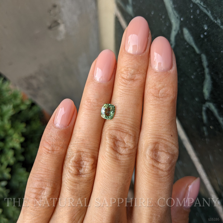 1.18 Ct. Yellowish Green Sapphire from Madagascar
