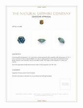 Jewelry Appraisal