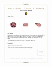 Jewelry Appraisal