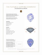Jewelry 3 D Scan Report