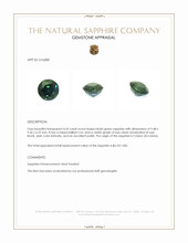 Jewelry Appraisal