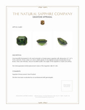 Jewelry Appraisal