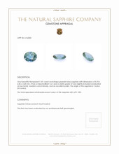 Jewelry Appraisal