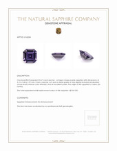0.67 Ct. Sapphire from Ceylon (Sri Lanka) Appraisal