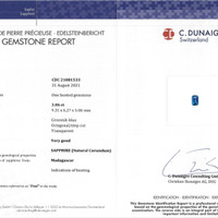 Jewelry Scan Report