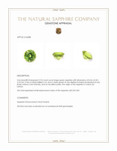 Jewelry Appraisal