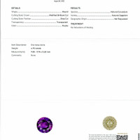 Jewelry Scan Report