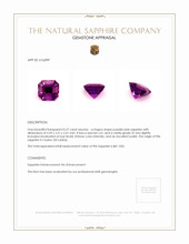 0.27 Ct. Sapphire from Ceylon (Sri Lanka) Appraisal