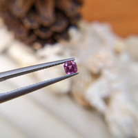 0.32 Ct. Pink Sapphire from Ceylon (Sri Lanka) Life Style