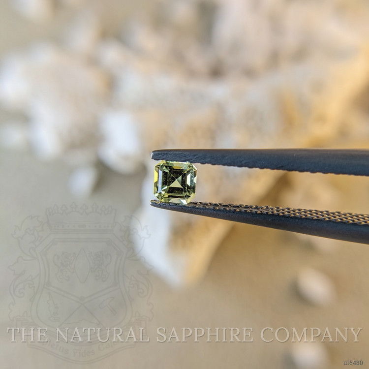 0.26 Ct. Yellowish Green Sapphire from Ceylon (Sri Lanka)
