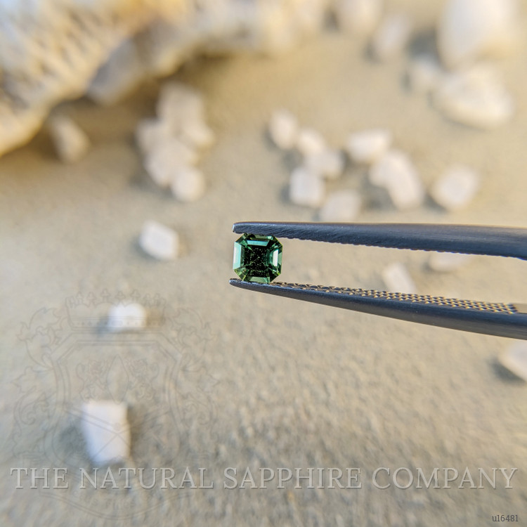 0.27 Ct. Yellowish Green Sapphire from Ceylon (Sri Lanka)