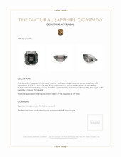 0.26 Ct. Greenish Brown Sapphire from Ceylon (Sri Lanka) Appraisal