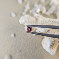 0.21 Ct. Purplish Pink Sapphire from Ceylon (Sri Lanka) Life Style