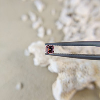 0.25 Ct. Reddish Pink Sapphire from Ceylon (Sri Lanka) Life Style