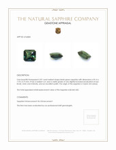 2.87 Ct. Bluish Green Sapphire from Ceylon (Sri Lanka) Appraisal
