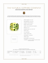 0.66 Ct. Yellowish Green Sapphire from Nigeria Scan Report