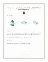 Jewelry Appraisal