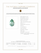 Jewelry Scan Report