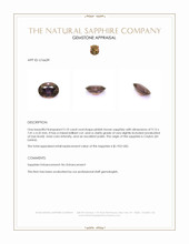 Jewelry Appraisal