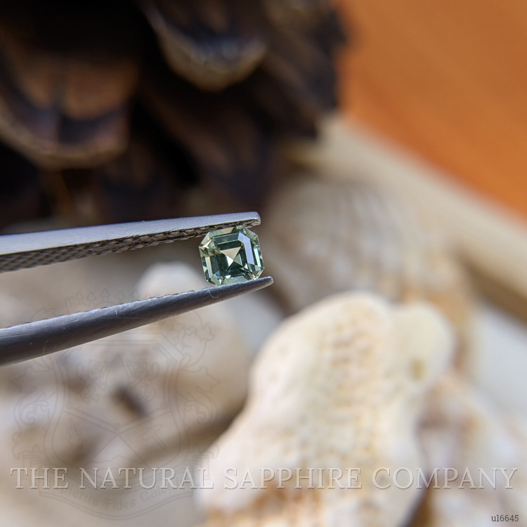 0.25 Ct. Green Sapphire from Ceylon (Sri Lanka)