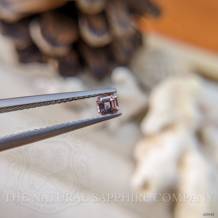 0.23 Ct. Pink Sapphire from Ceylon (Sri Lanka)