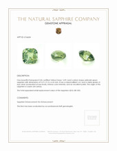 Jewelry Appraisal