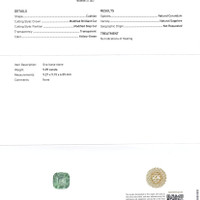 Jewelry Scan Report