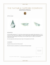 Jewelry Appraisal