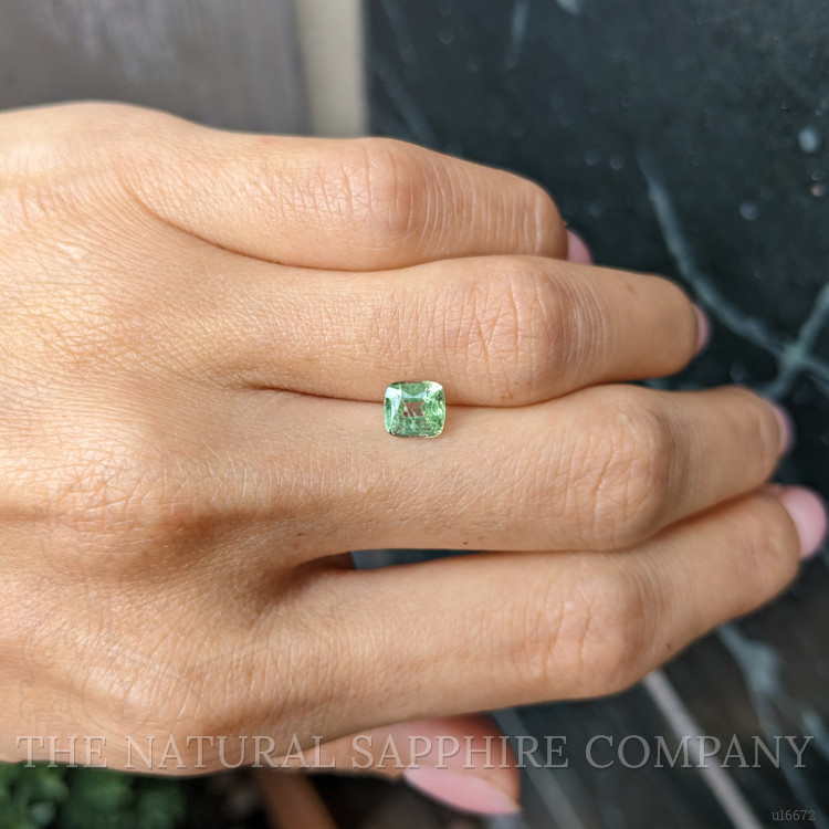 1.26 Ct. Green Sapphire from Ceylon (Sri Lanka)