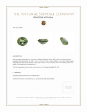 4.95 Ct. Green Sapphire from Madagascar Appraisal
