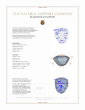 Jewelry 3 D Scan Report