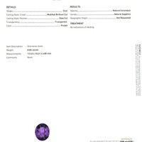 Jewelry Scan Report