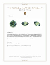 0.98 Ct. Bluish Green Sapphire from Montana Appraisal