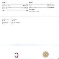 Jewelry Scan Report