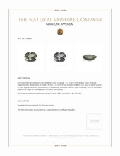 3.77 Ct. Color Change Sapphire from Ceylon (Sri Lanka) Appraisal