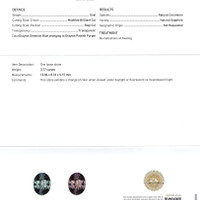 3.77 Ct. Color Change Sapphire from Ceylon (Sri Lanka) Scan Report