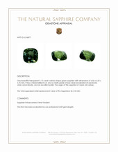 Jewelry Appraisal