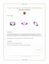3.76 Ct. Sapphire from Ceylon (Sri Lanka) Appraisal