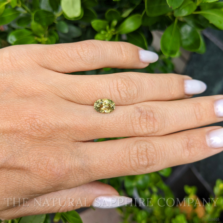 2.43 Ct. Yellowish Green Sapphire from Ceylon (Sri Lanka)
